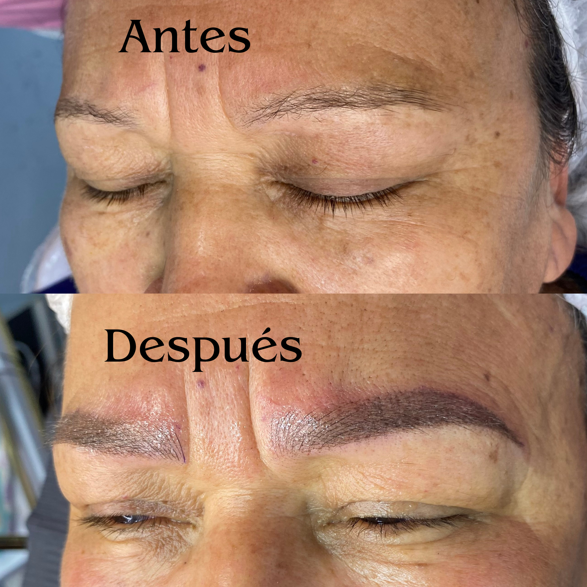 CEJAS HIBRIDAS